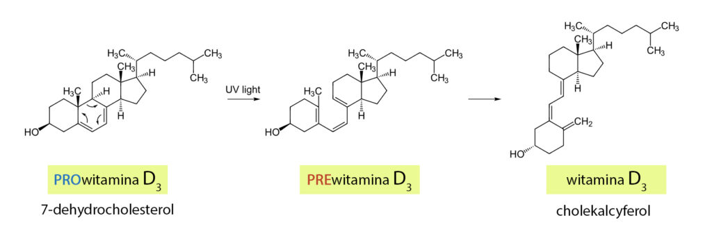 reakcja w skórze - powstawanie witaminy D3